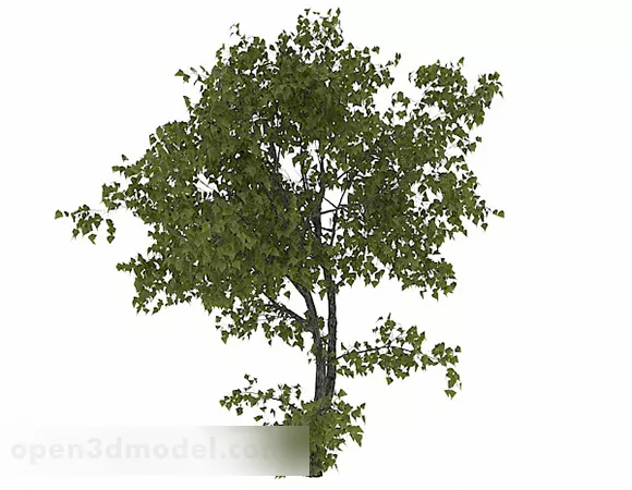 Oval Leaves Trees V1 3d model Oval Leaves Trees V1 3d model