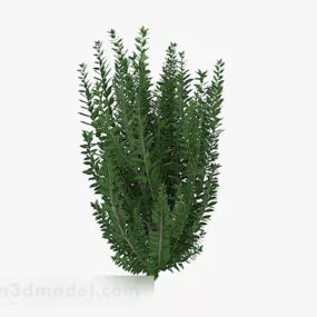 Modern Style Bar Leaf Shrub 3d model