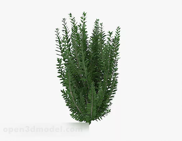 Low Poly Palm Shrub 3d model