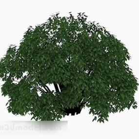 Green Grass V2 3d model