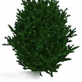 Outdoor Green Grass V1 3d model
