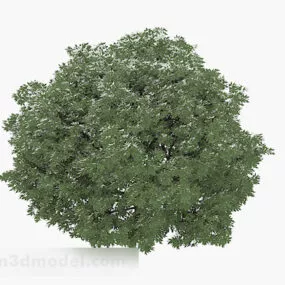 Green Grass Garden Design 3d model