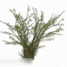 Outdoor Green Grass Garden Plant 3d model