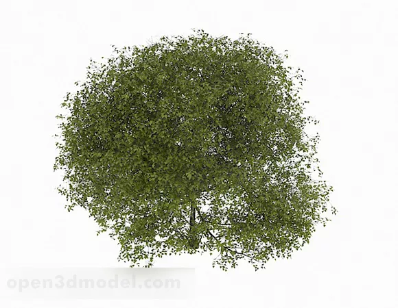 Cubic Hedges 3d model