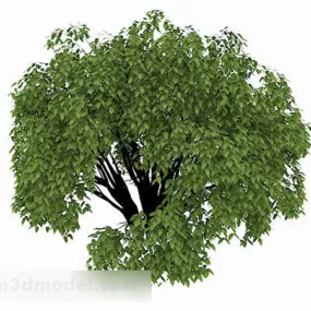 Outdoor Green Tree Garden Plant 3d model
