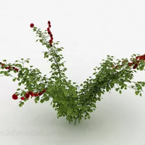 Outdoor Plant 3d model