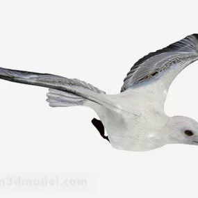 White Dove 3d model