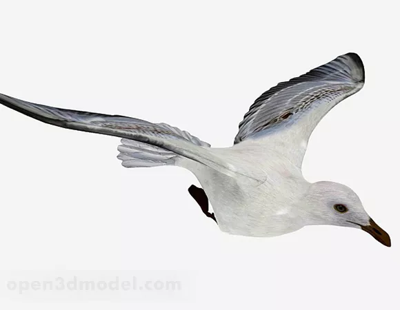 White Dove 3d model White Dove 3d model