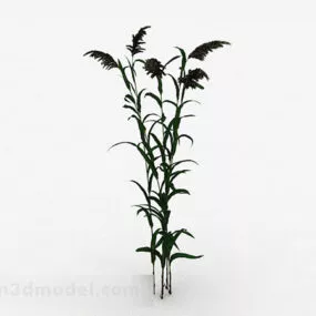 Garden Green Plant 3d model