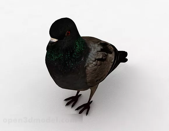 Black Dove 3d model Black Dove 3d model