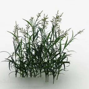 Green Grass V3 3d model