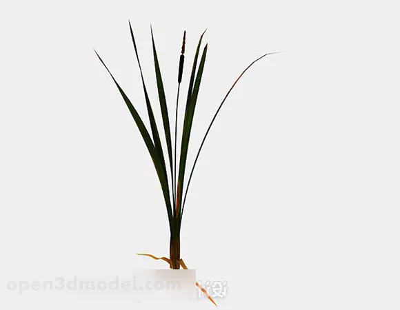 Weed Grass 3d model Weed Grass 3d model