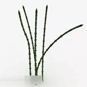Garden Weed Plant 3d model