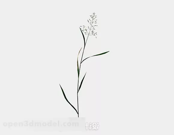 Single Weed 3d model Single Weed 3d model