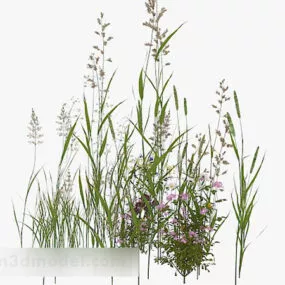 Garden Plant Green Grass 3d model