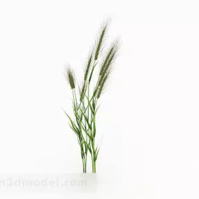 Dog Tail Grass V1 3d model