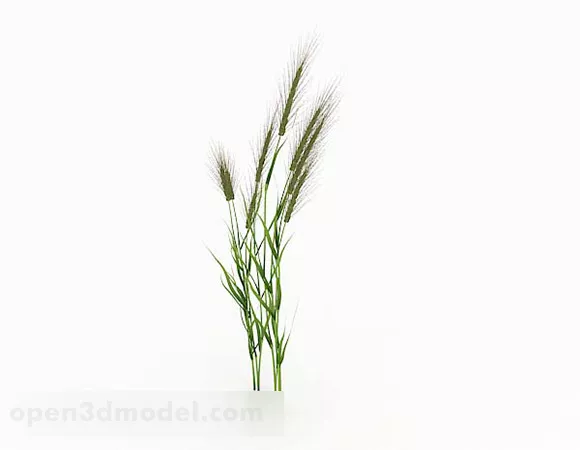 Dog Tail Grass V1 3d model Dog Tail Grass V1 3d model