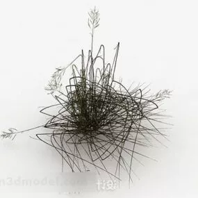 Weed Grass Plant 3d model