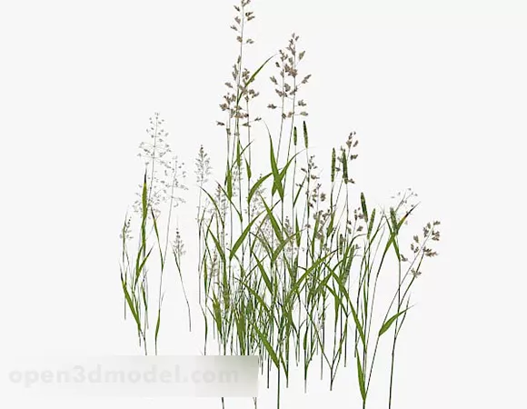 Green Nature Grass 3d model Green Nature Grass 3d model