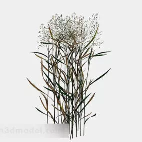 Weed Bush 3d model