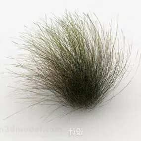 Wild Green Grass 3d model