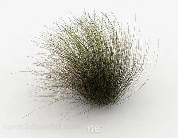 Wheat Grass 3d model