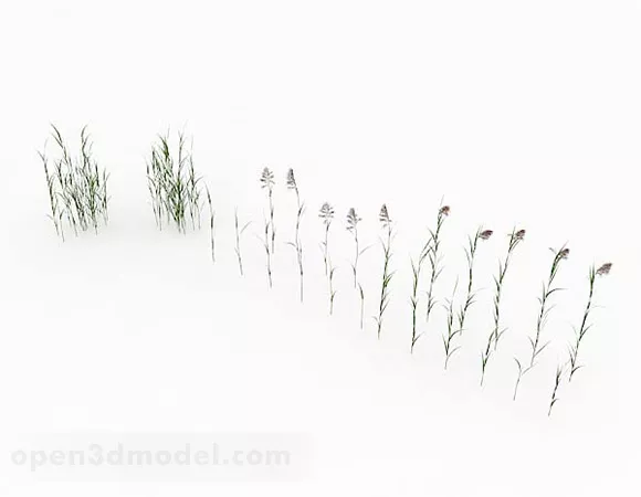 Weeds Collection 3d model Weeds Collection 3d model
