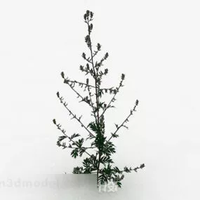 Outdoor Plant V1 3d model