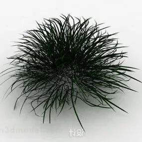Outdoor Plant Grass 3d model