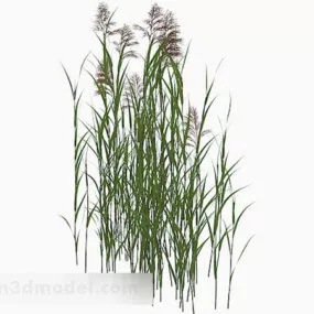 Outdoor Weed Grass V1 3d model