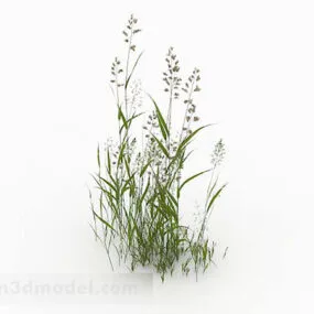 Green Grass V7 3d model