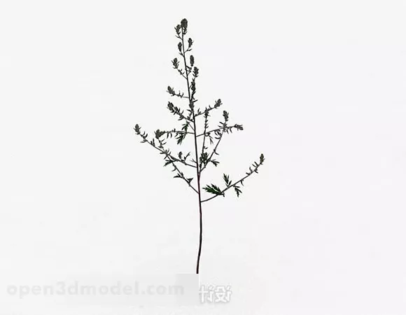 Small Grass Bush 3d model