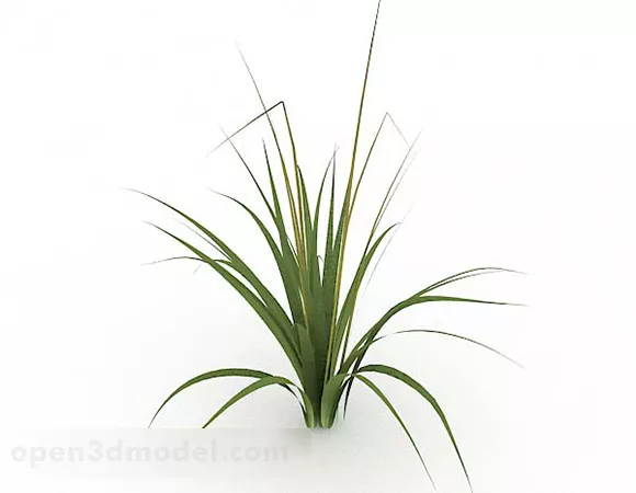 Single Green Grass Plant 3d model Single Green Grass Plant 3d model
