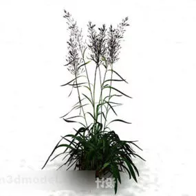 Green Grass Bushes 3d model