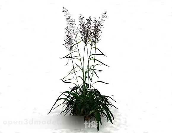 Wheat Grass 3d model