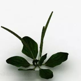 Weed V7 3d model