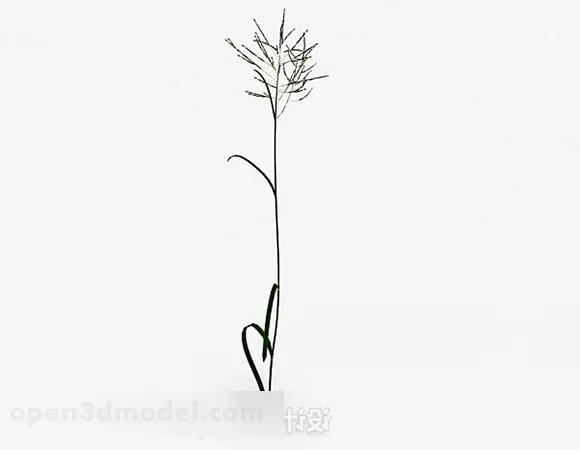 Green Grass Flower Plant 3d model Green Grass Flower Plant 3d model