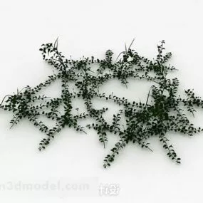Weed Ivy 3d model