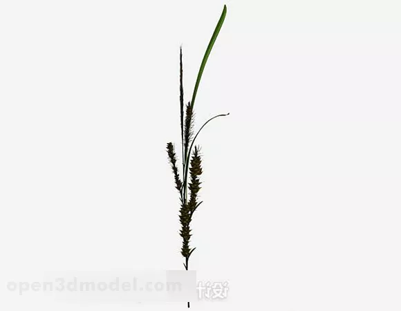 Single Weed Green Plant 3d model Single Weed Green Plant 3d model