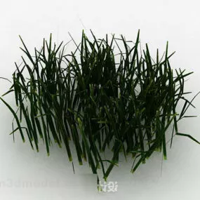 Green Plant Grass 3d model