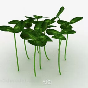 Shamrock 3d model