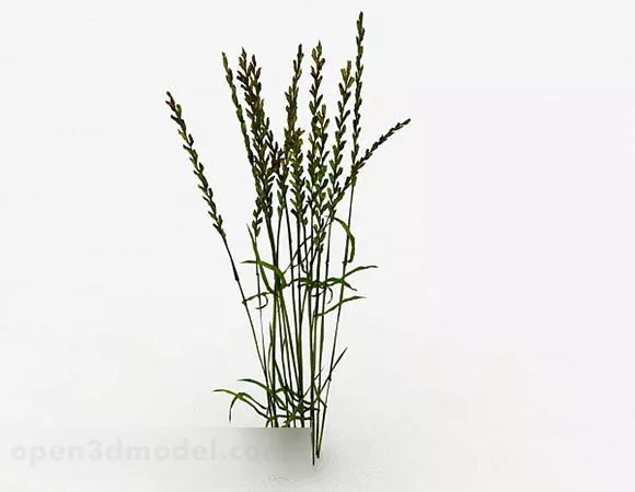 Plant Cannabis Tree 3d model
