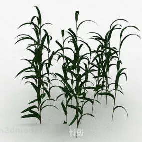 Weed Group 3d model