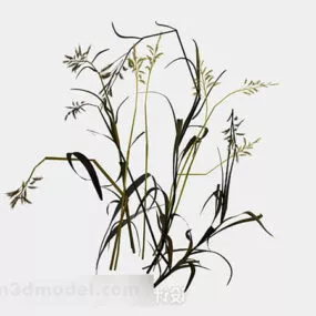 Weed White Flower 3d model