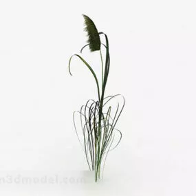 Outdoor Plant V6 3d model