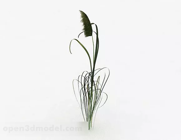 Outdoor Plant V6 3d model Outdoor Plant V6 3d model