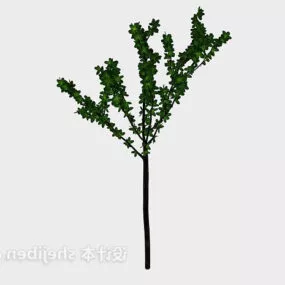 Outdoor Small Tree 3d model