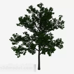 Garden Green Tree 3d model