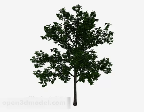 Garden Green Tree 3d model Garden Green Tree 3d model
