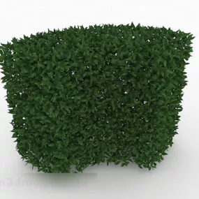 Lanceolate Leaf Shrub 3d model